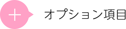 オプション項目